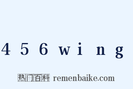 456wing是什么意思的图片